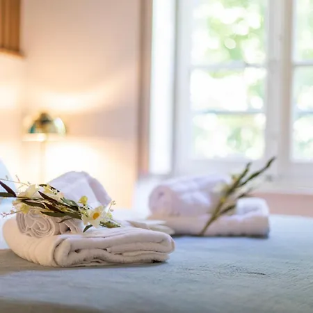 T2 Climatise De Charme, Pour Couple Proche Arenes Maisoncarreeconciergerie